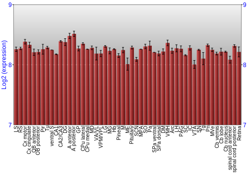 Expression graph