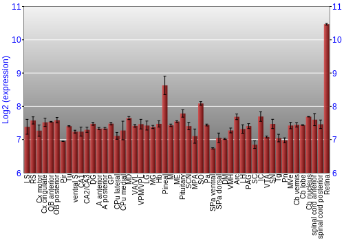 Expression graph