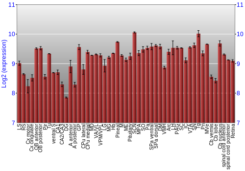 Expression graph