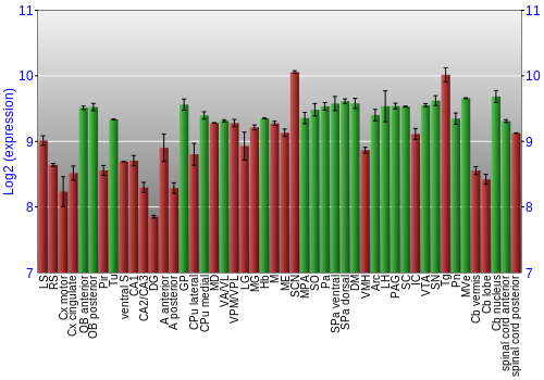 Multi-state expression graph