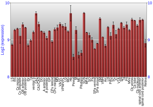 Expression graph