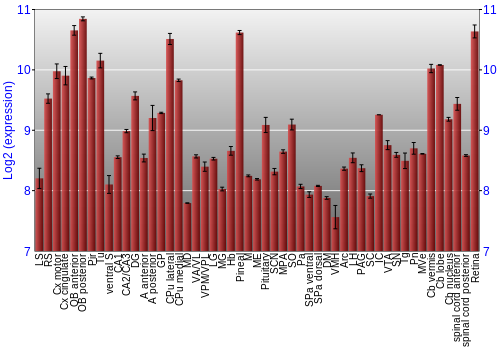 Expression graph