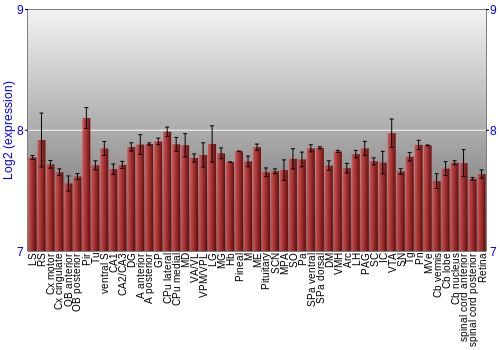 Expression graph