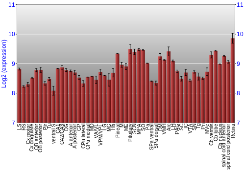 Expression graph