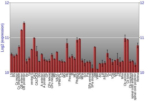 Expression graph