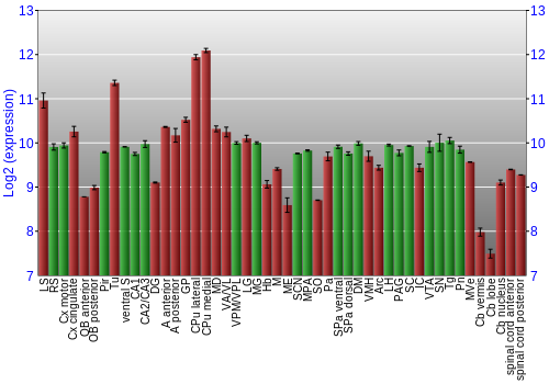 Multi-state expression graph