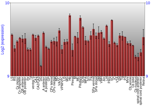 Expression graph