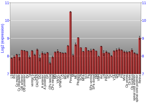 Expression graph