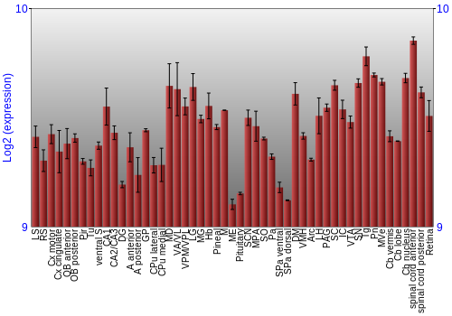 Expression graph