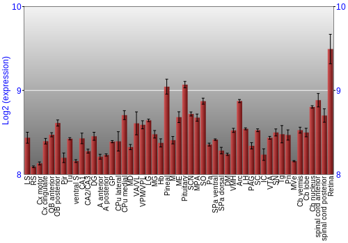 Expression graph