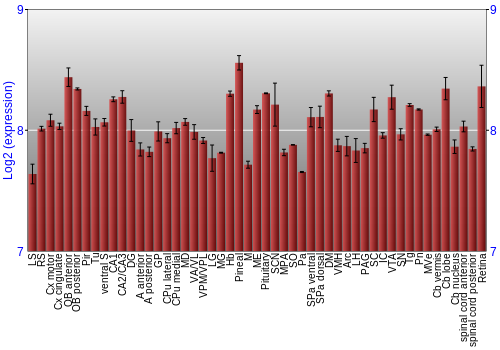 Expression graph