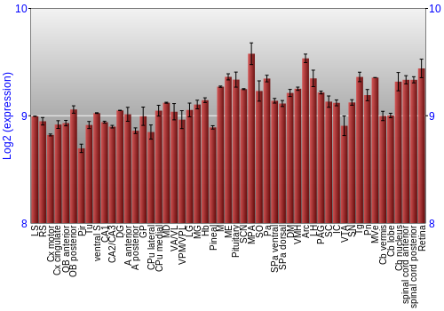 Expression graph