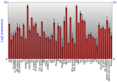 Expression graph