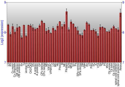 Expression graph