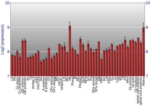 Expression graph