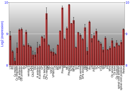 Expression graph