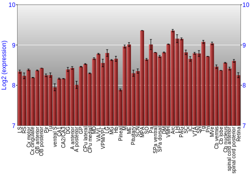Expression graph
