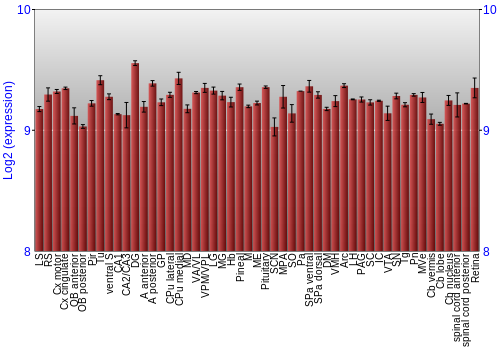 Expression graph