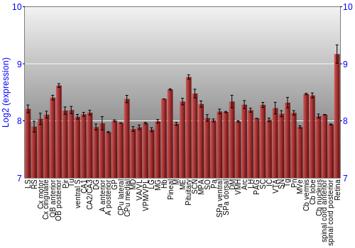 Expression graph