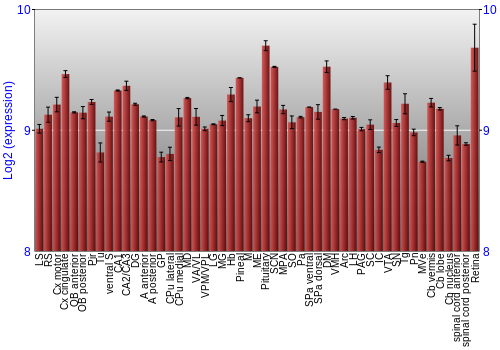 Expression graph