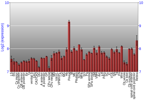 Expression graph