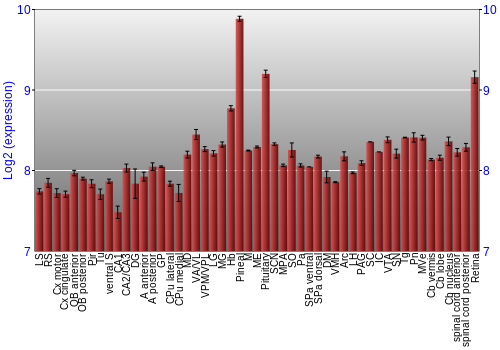 Expression graph