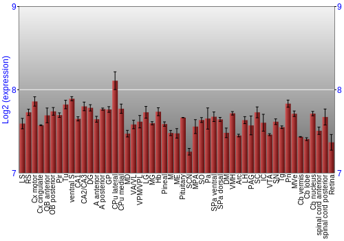 Expression graph