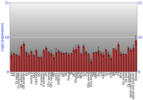 Expression graph