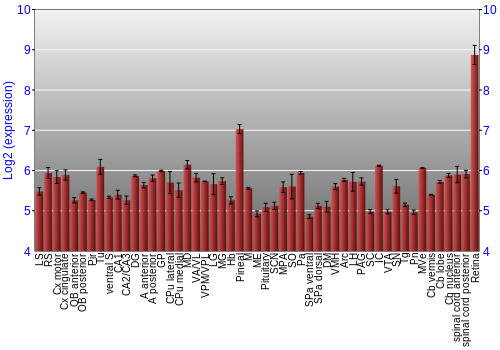 Expression graph
