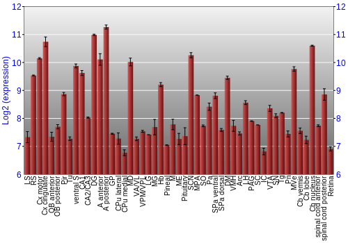 Expression graph