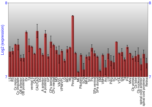 Expression graph