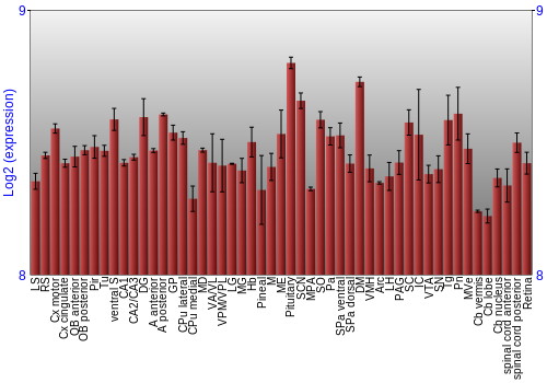 Expression graph