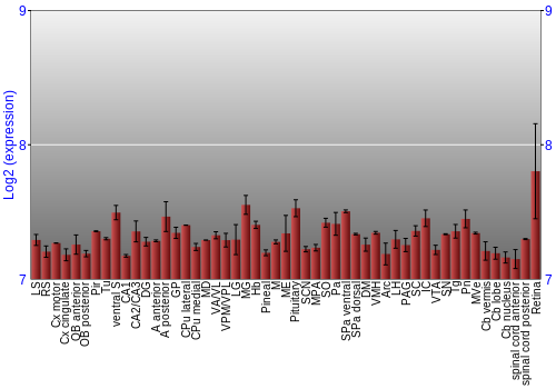 Expression graph