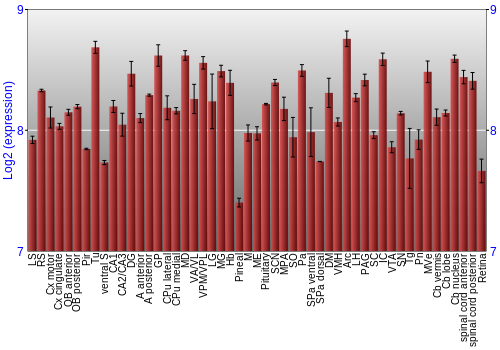 Expression graph