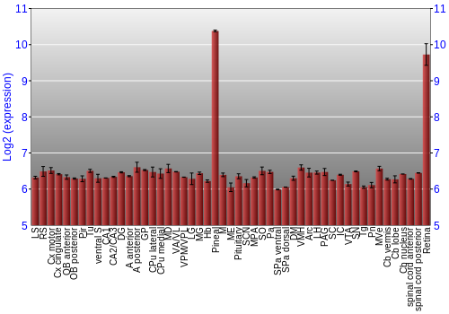 Expression graph