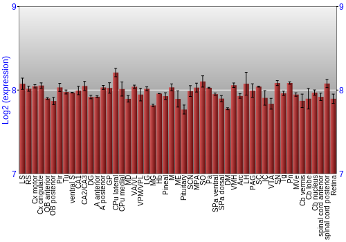 Expression graph