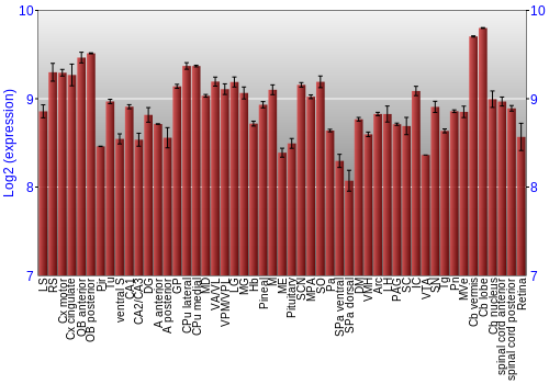 Expression graph