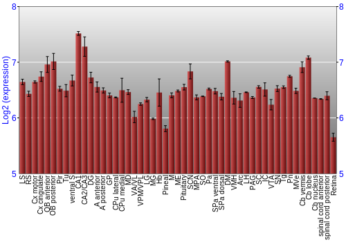 Expression graph