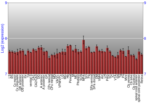 Expression graph