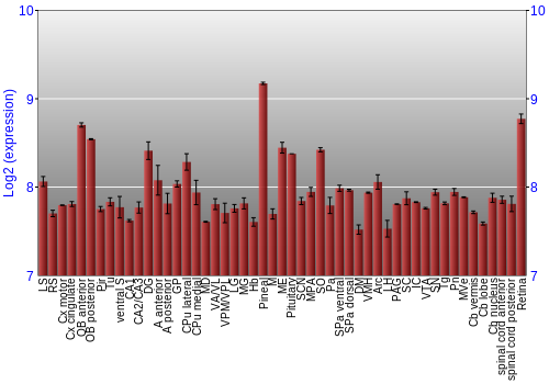 Expression graph