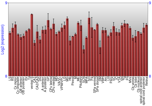 Expression graph