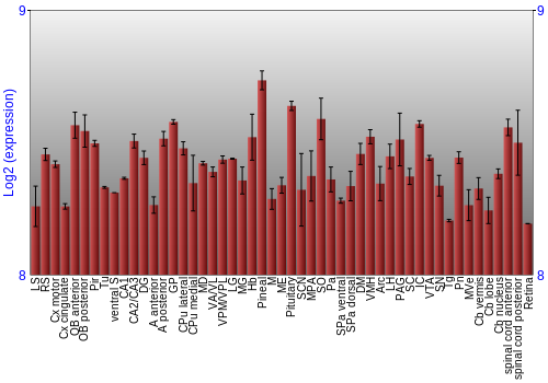 Expression graph