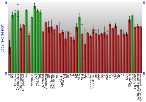 Multi-state expression graph