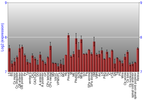Expression graph