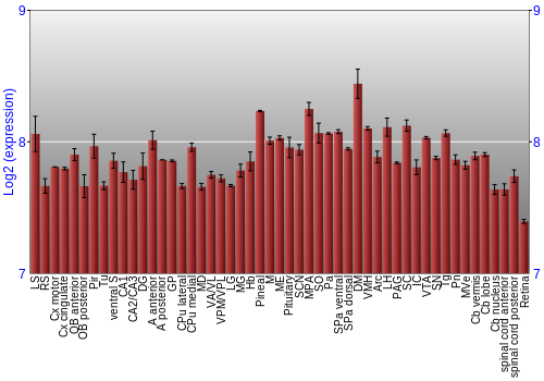 Expression graph