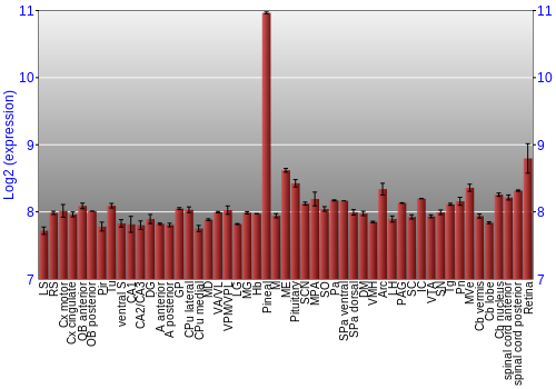 Expression graph