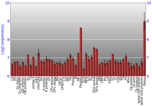 Expression graph