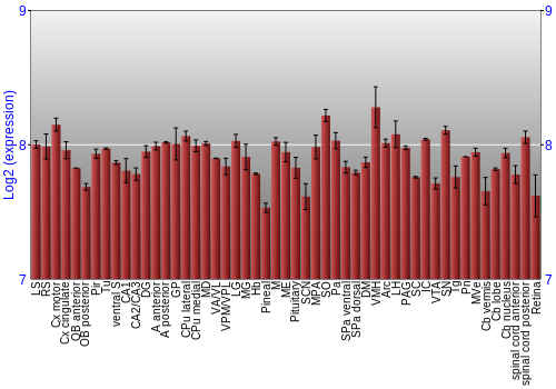 Expression graph
