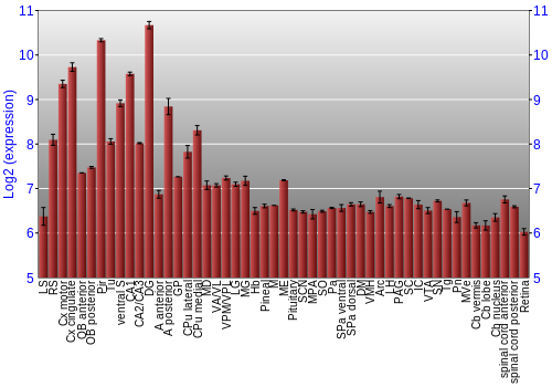 Expression graph