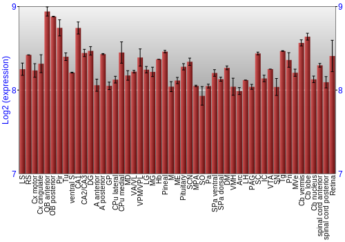 Expression graph